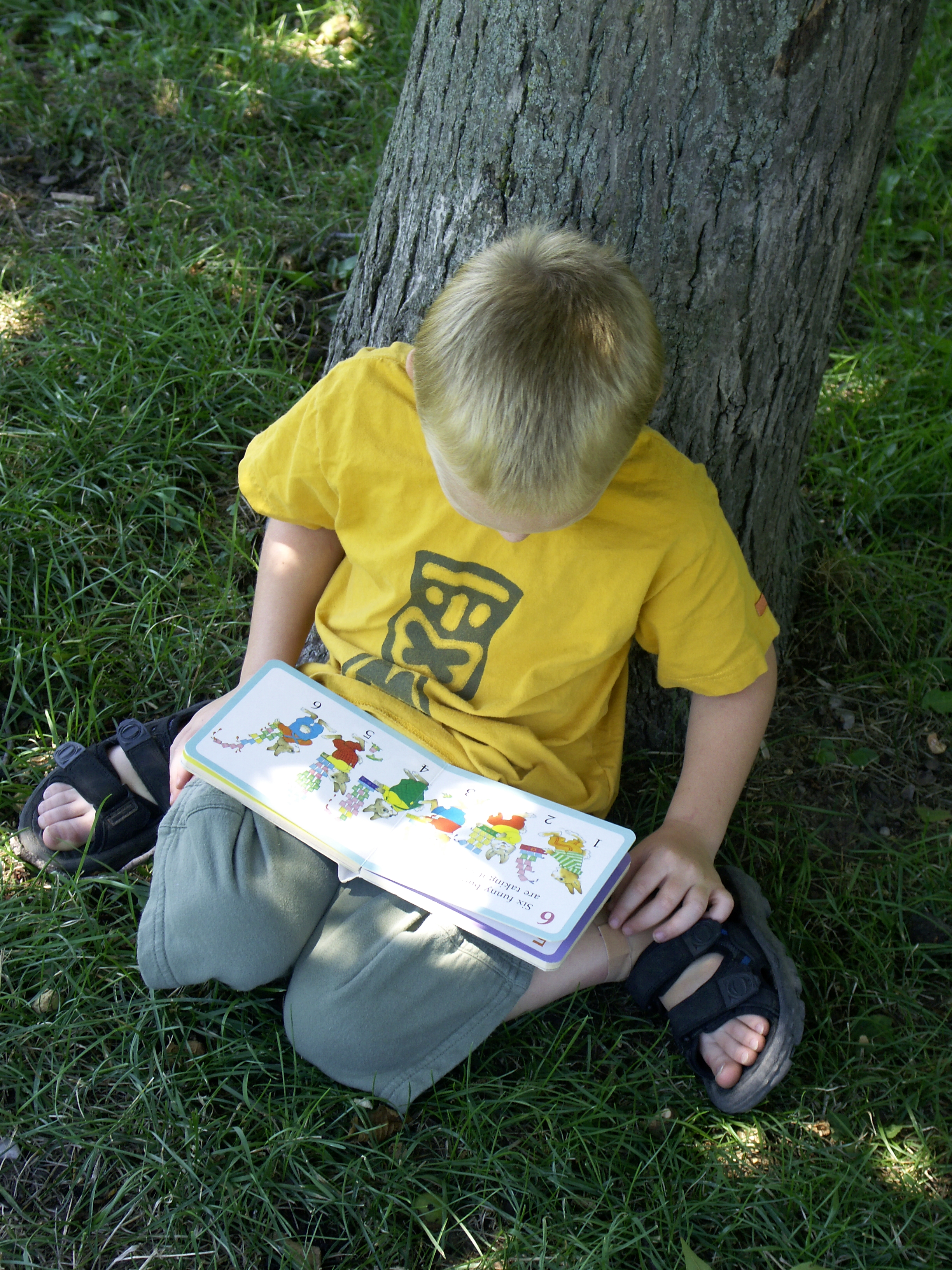 A child reading by a tree
